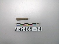 藏品(磨製石針)的圖片